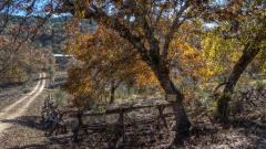 Clear Springs Lodging & Cabins of Utopia is in the Hill Country of Texas