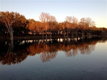 Clear Springs Lodging & Cabins of Utopia is in the Hill Country of Texas