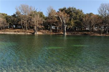 Clear Springs Lodging & Cabins of Utopia is in the Hill Country of Texas