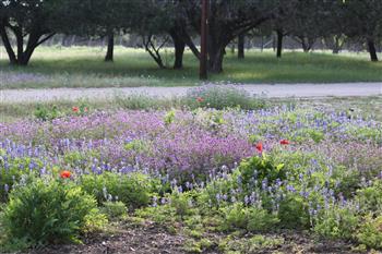 Clear Springs Lodging & Cabins of Utopia is in the Hill Country of Texas