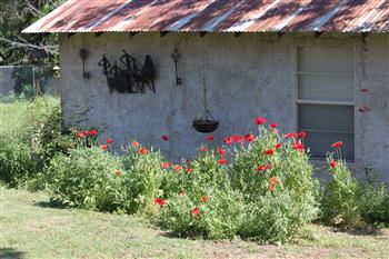 Clear Springs Lodging & Cabins of Utopia is in the Hill Country of Texas