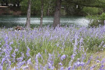 Clear Springs Lodging & Cabins of Utopia is in the Hill Country of Texas