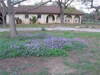 Clear Springs Lodging & Cabins of Utopia is in the Hill Country of Texas