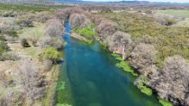 Sabinal River Lodging